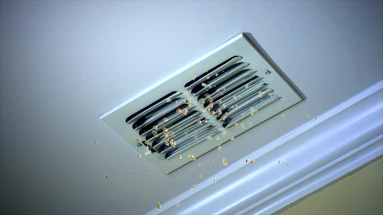 Best Emergency Air Duct Cleaning  in Point Pleasant, NJ