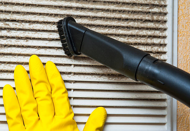 Best Local Air Duct Cleaning Services  in Point Pleasant, NJ